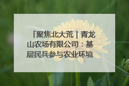 聚焦北大荒｜青龙山农场有限公司：基层民兵参与农业环境综合治理显效